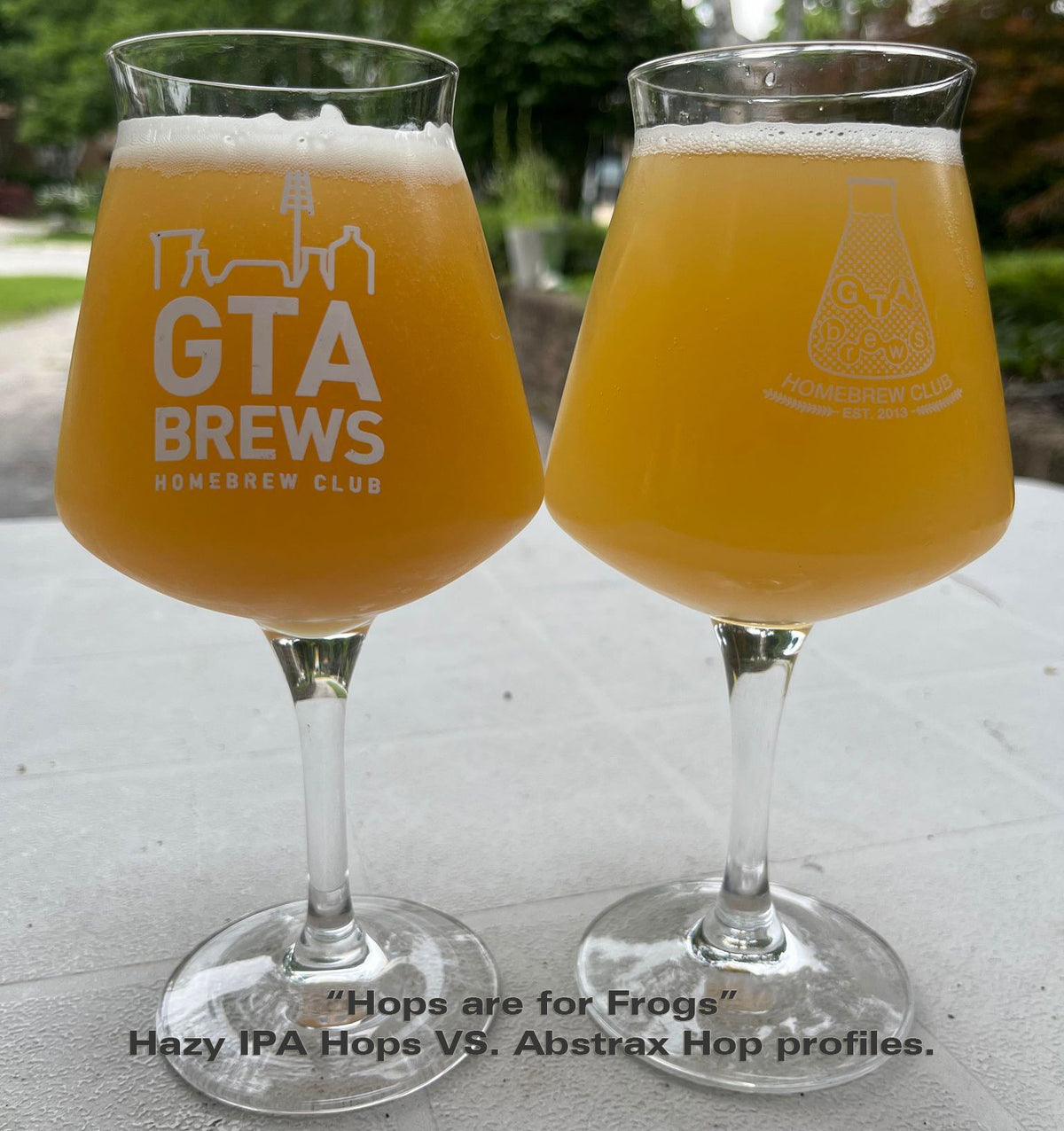 BEER EXPERIMENT TASTING — Toronto Brewing