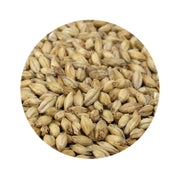 Chit Malt - Bestmalz (55 lb)    - Toronto Brewing