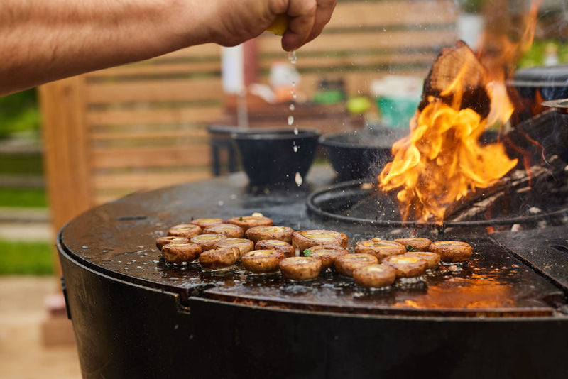 Alchemy Grills AG-GS32 | Grill Smoker Griddle Multi-Cooker