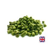 UK East Kent Golding (EKG) and Fuggle Pellet Hops Bundle    - Toronto Brewing