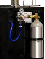Kegco K199B-GNK Back Co2 tank