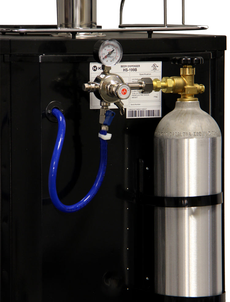 Kegco K199B-GNK Back Co2 tank