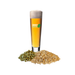 Bohemian Pilsner - Toronto Brewing All-Grain Recipe Kit (5 Gallon/19 Litre)    - Toronto Brewing
