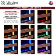 Colored Interior LED Lights