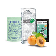 Hard Seltzer Recipe Kit - Apricot (5 Gallon/19 Litre)    - Toronto Brewing