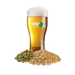 Kolsch - Toronto Brewing All-Grain Recipe Kit (5 Gallon/19 Litre)    - Toronto Brewing