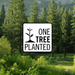 Plant a Tree    - Toronto Brewing
