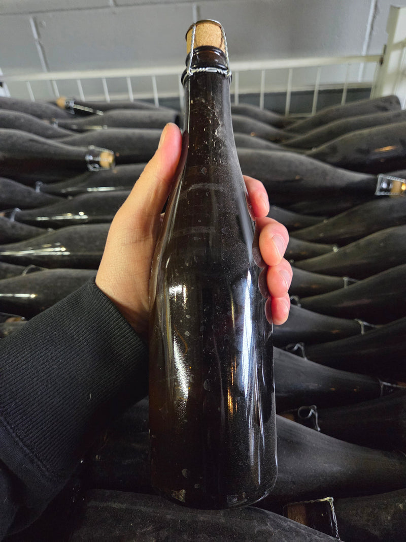 Cooking Beer | 10 count (10 x 500 ml) - Pickup Only!