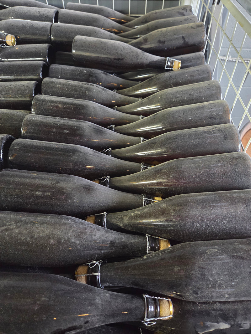 Cooking Beer | 10 count (10 x 500 ml) - Pickup Only!