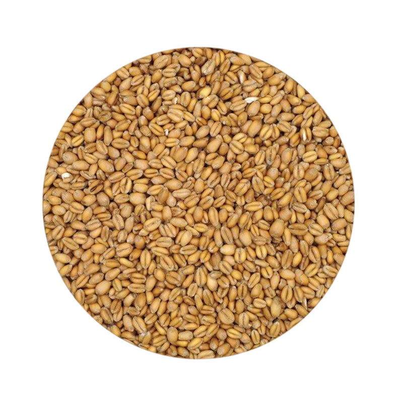 Torrified Wheat Malt - (55 lb)    - Toronto Brewing