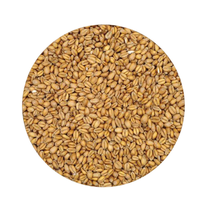 Torrified Wheat Malt - (55 lb)    - Toronto Brewing