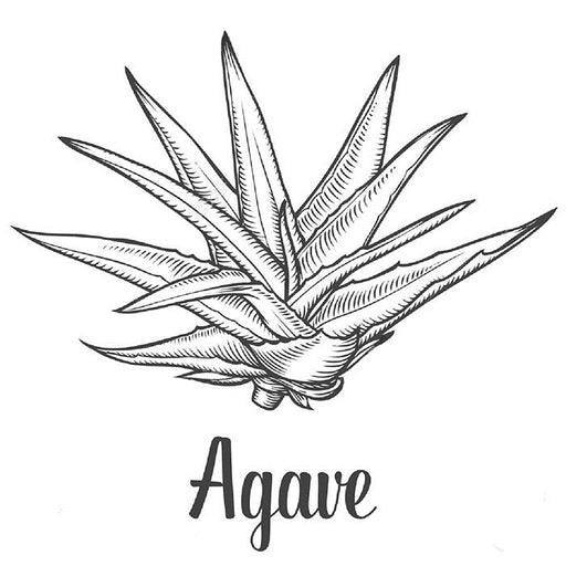 Organic Premium Agave Syrup - 1380 kg    - Toronto Brewing