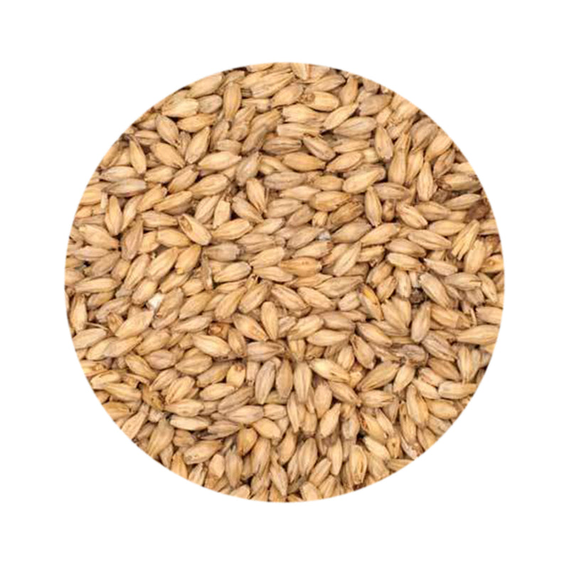 6-Row Malt 1 lb   - Toronto Brewing