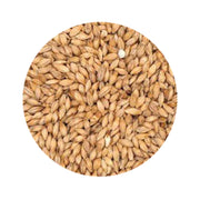 Barke® Pilsner Malt - Weyermann 1 lb   - Toronto Brewing