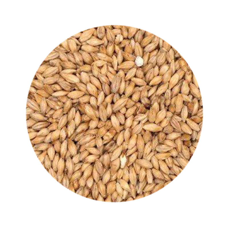Barke® Pilsner Malt - Weyermann 1 lb   - Toronto Brewing
