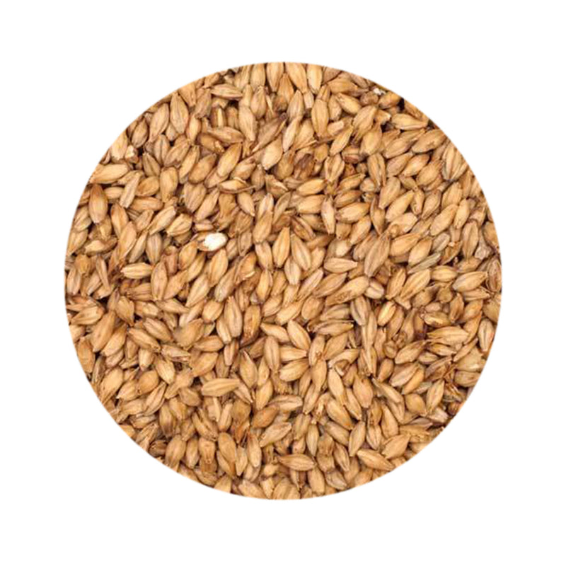 Beech Smoked Malt 1 lb   - Toronto Brewing