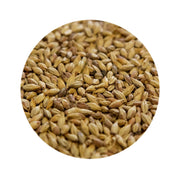 Biscuit Malt 1 lb   - Toronto Brewing