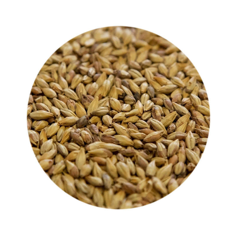 Biscuit Malt 1 lb   - Toronto Brewing