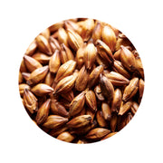 CaraAroma Malt - Weyermann 1 lb   - Toronto Brewing