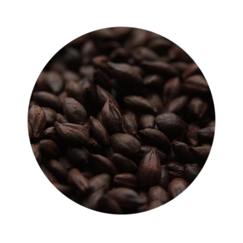 Carafa Special Type III Malt - Weyermann 1 lb   - Toronto Brewing