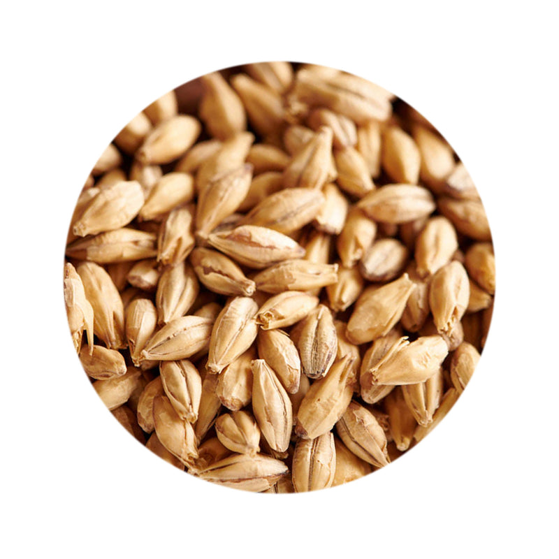 Carafoam Malt - Weyermann 1 lb   - Toronto Brewing