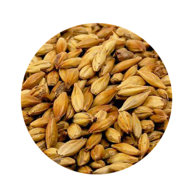 Caramunich I Malt - Weyermann 1 lb   - Toronto Brewing