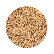 Carapils Malt 1 lb   - Toronto Brewing