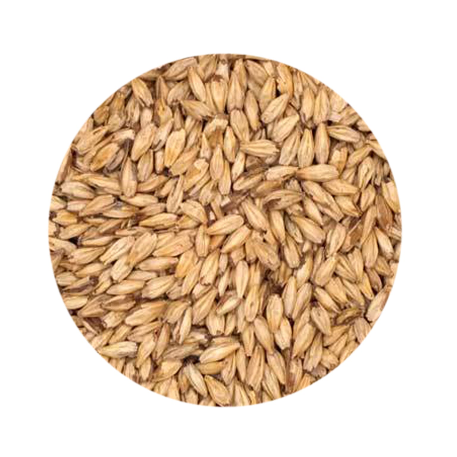 Grains & Malts — Toronto Brewing