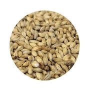 Floor-Malted Bohemian Pilsner - Weyermann 1 lb   - Toronto Brewing