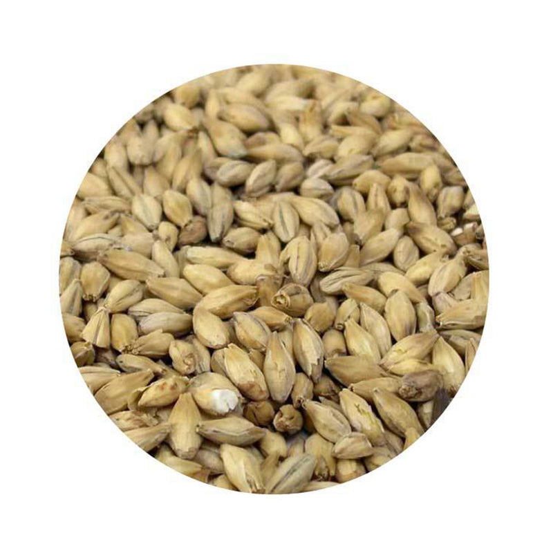 Floor-Malted Bohemian Pilsner - Weyermann 1 lb   - Toronto Brewing