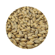Golden Promise Malt 1 lb   - Toronto Brewing