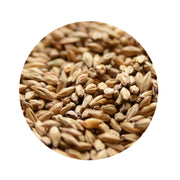 Honey Malt - Gambrinus 1 lb   - Toronto Brewing