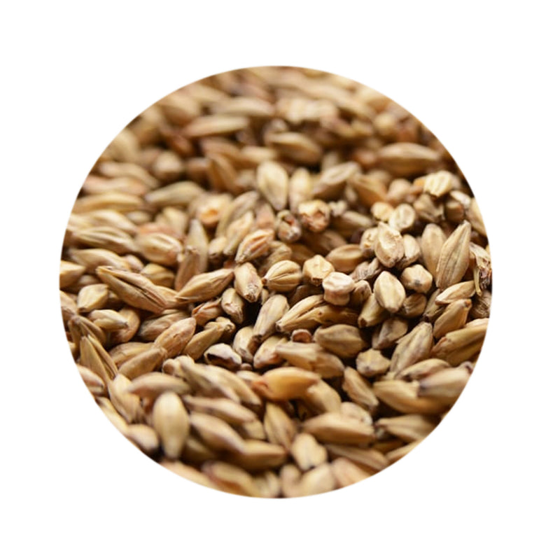 Honey Malt - Gambrinus 1 lb   - Toronto Brewing