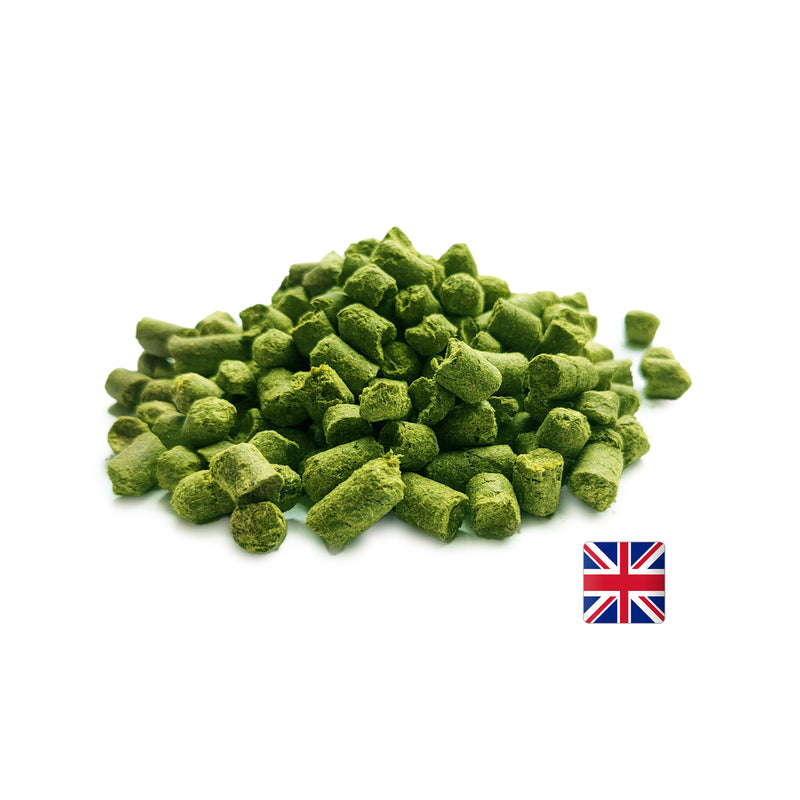UK East Kent Golding (EKG) Pellet Hops 1 oz   - Toronto Brewing
