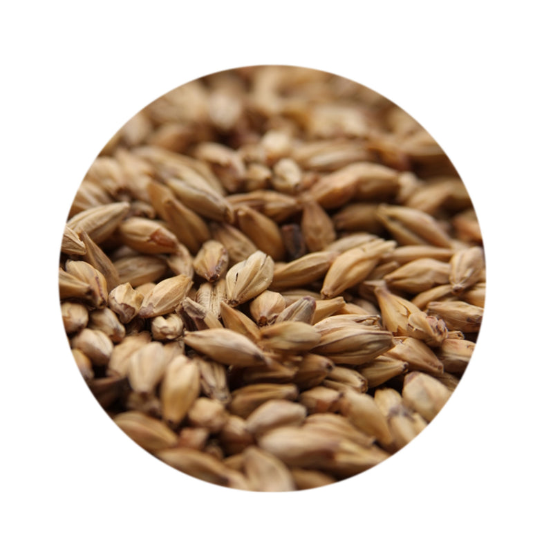 Melanoidin Malt 1 lb   - Toronto Brewing