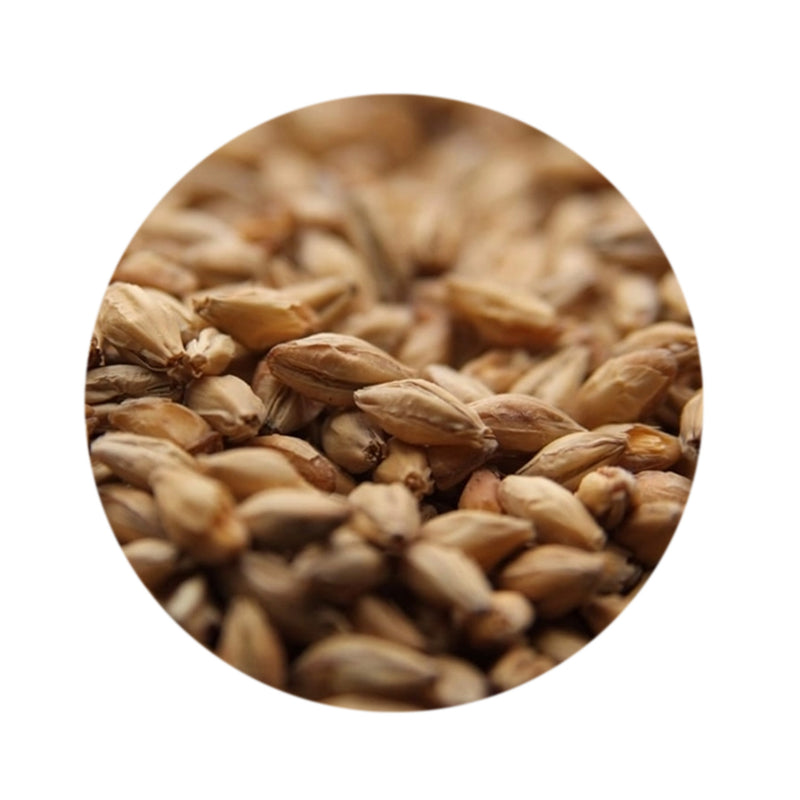 Munich Malt I - Light 1 lb   - Toronto Brewing