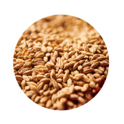 Pale Ale Malt 1lb   - Toronto Brewing