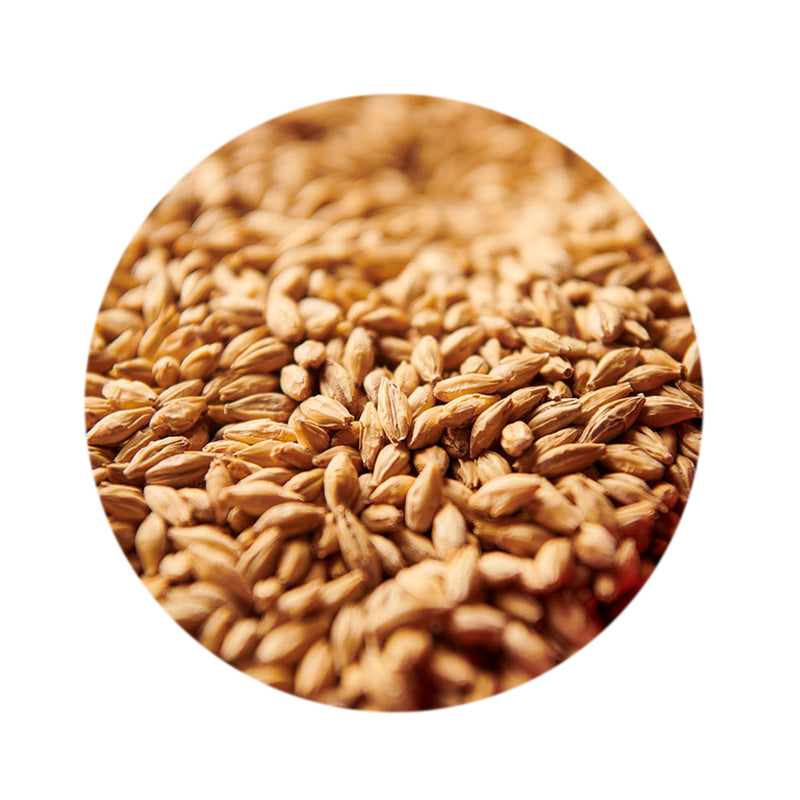 Pale Ale Malt 1lb   - Toronto Brewing