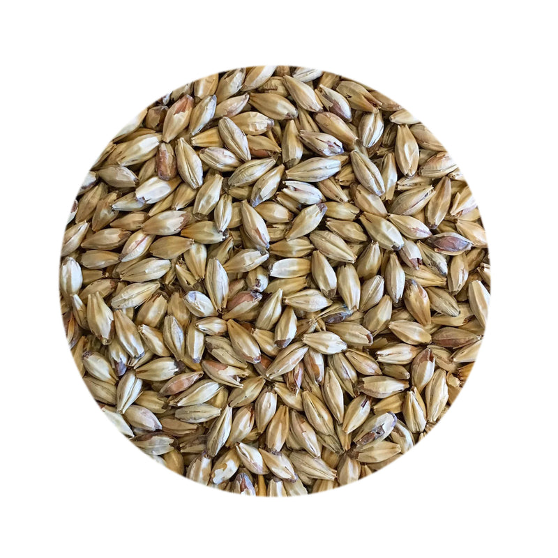 Peated Malt 1lb   - Toronto Brewing