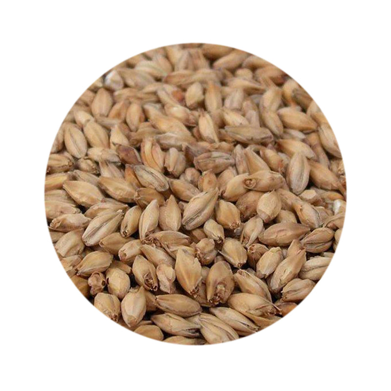 Bohemian Pilsner Malt - Weyermann 1 lb   - Toronto Brewing