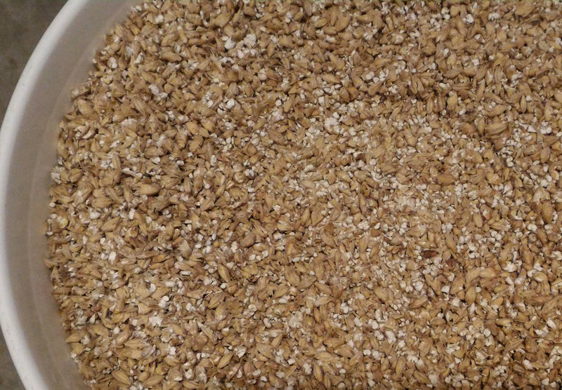 Victoria Grain Mill - Corona Style    - Toronto Brewing