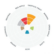 LalBrew | New England American East Coast Ale Yeast (11g)    - Toronto Brewing