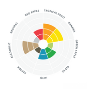 LalBrew | Belgian Style Abbaye Ale Yeast Yeast (11 g)    - Toronto Brewing