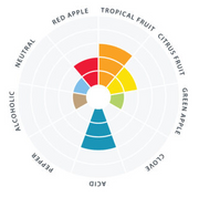 WildBrew™ Philly Sour Yeast (11g)    - Toronto Brewing