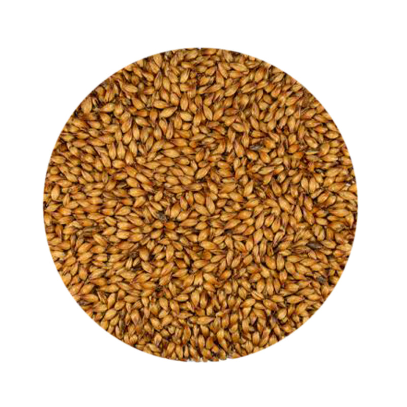 Special B Malt 1 lb   - Toronto Brewing