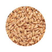 Spelt Malt 1 lb   - Toronto Brewing