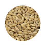 Vienna Malt 1 lb   - Toronto Brewing