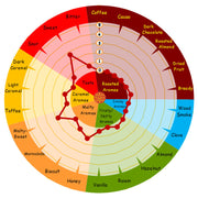 Bohemian Pilsner Malt - Weyermann (55 lb)    - Toronto Brewing