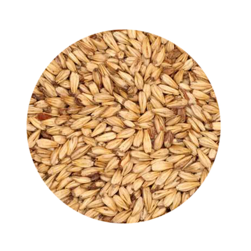 Caramel 10 / Crystal 10 Malt - Briess 1 lb   - Toronto Brewing