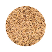 Oat Malt 1 lb   - Toronto Brewing